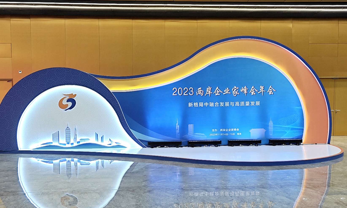 Cross-Straits CEO Summit in Nanjing, East China's Jiangsu Province Photo: Yin Yeping/GT