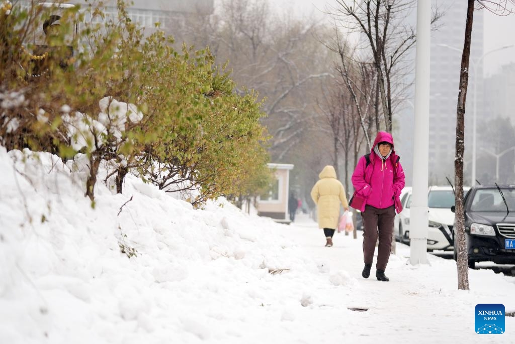 People walk in snow in Harbin, northeast China's Heilongjiang Province, Nov. 16, 2023.(Photo: Xinhua)