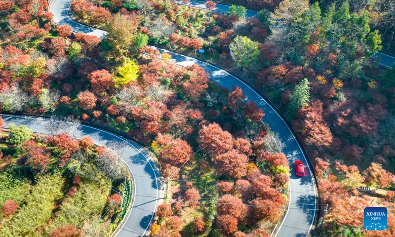 This aerial photo taken on Nov. 17, 2023 shows a car running on a country road in Lizhou Village of Yuyao City, east China's Zhejiang Province. (Photo: Xinhua)