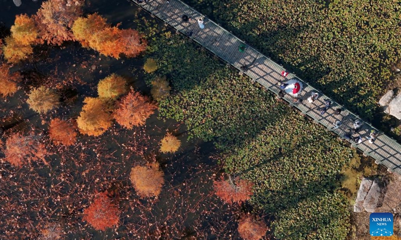 This aerial photo taken on Nov. 18, 2023 shows tourists enjoying themselves at a wetland park in Muping District of Yantai City, east China's Shandong Province. (Photo: Xinhua)