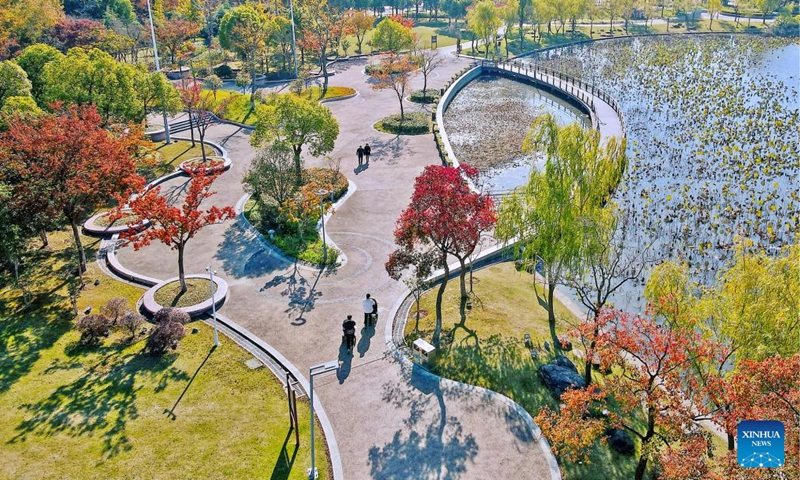 This aerial photo taken on Nov. 18, 2023 shows tourists enjoying leisure time at an eco-park in Rugao, east China's Jiangsu Province. (Photo: Xinhua)