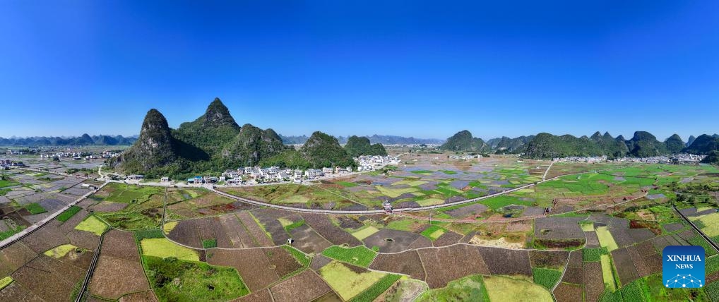 This aerial panorama photo taken on Nov. 17, 2023 shows the scenery of Huaihong Village in the Liujiang District of Liuzhou, south China's Guangxi Zhuang Autonomous Region. (Photo: Xinhua)