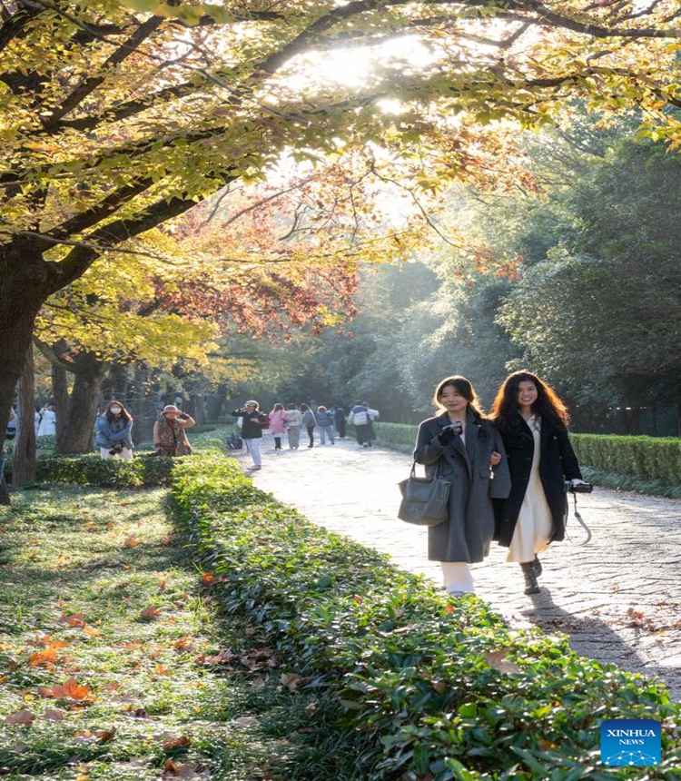 Tourists visit the imperial Xiaoling Mausoleum, the burial site of the Ming Dynasty's (1368-1644) founding emperor Zhu Yuanzhang, in Nanjing, east China's Jiangsu Province, on Nov. 18, 2023. (Photo: Xinhua)