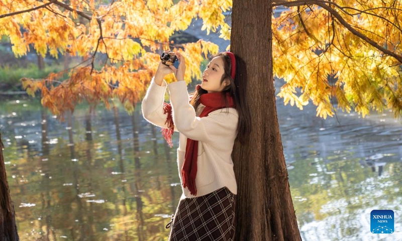 A tourist takes photos at the imperial Xiaoling Mausoleum, the burial site of the Ming Dynasty's (1368-1644) founding emperor Zhu Yuanzhang, in Nanjing, east China's Jiangsu Province, on Nov. 18, 2023. (Photo: Xinhua)