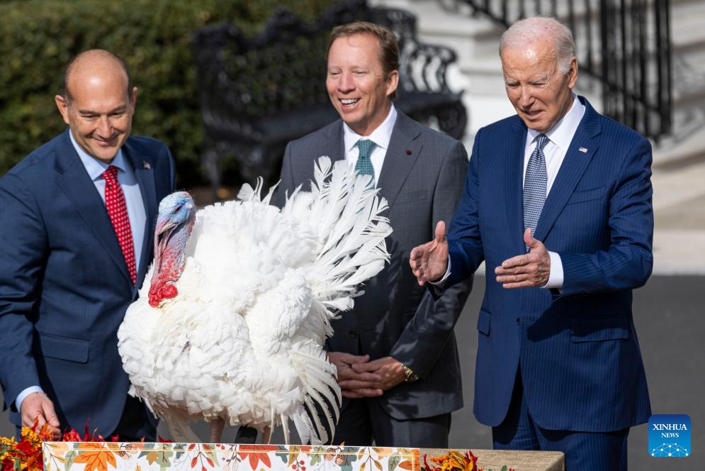 U.S. President Joe Biden (R) attends the National Thanksgiving Turkey Pardoning Ceremony at the White House in Washington, D.C., the United States, on Nov. 20, 2023.(Photo: Xinhua)