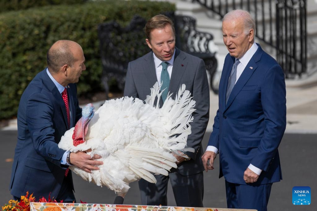 U.S. President Joe Biden (R) attends the National Thanksgiving Turkey Pardoning Ceremony at the White House in Washington, D.C., the United States, on Nov. 20, 2023.(Photo: Xinhua)