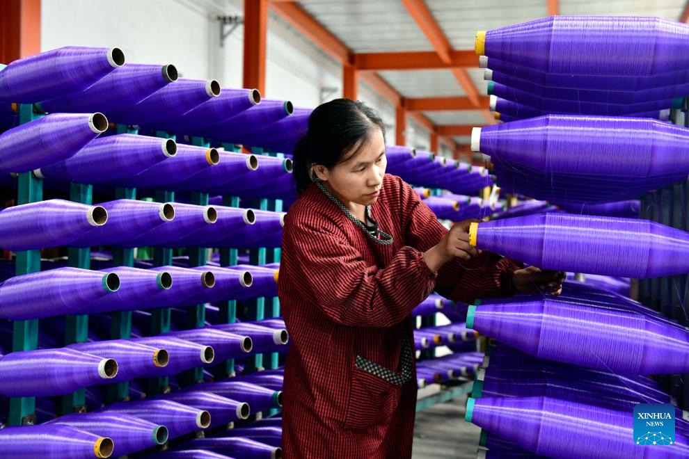 A worker arranges reels of thread at a workshop of an enterprise in Lizhuang Town of Huimin County, east China's Shandong Province, Nov. 22, 2023. Huimin has more than 1,300 enterprises producing net and rope products, which are widely used in construction, sports and other industries. From January to October this year, this industry in Huimin has achieved an output value of over 21.7 billion yuan (about 3.03 billion U.S. dollars).(Photo: Xinhua)