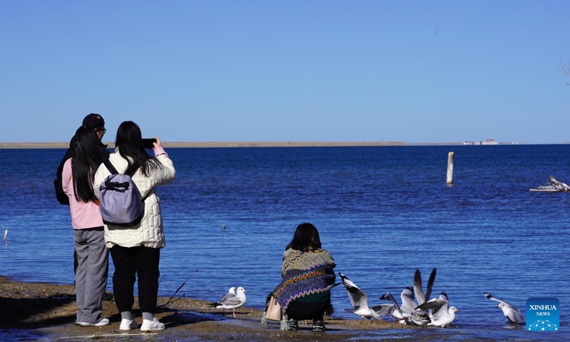 Tourists visit Qinghai Lake in northwest China's Qinghai Province, Nov. 23, 2023. Located in the northeastern part of the Qinghai-Tibet Plateau, the Qinghai Lake is key to maintaining the ecological balance in western China. It is also a natural barrier for controlling the eastward spread of desertification and ensuring the safety of agricultural areas in eastern China.(Photo: Xinhua)