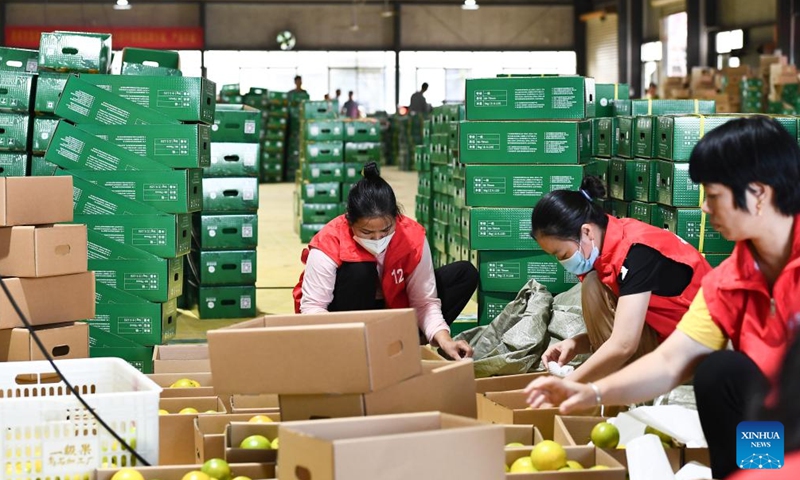 Staff members pack green oranges at a processing factory in Qiongzhong Li and Miao Autonomous County, south China's Hainan Province, Nov. 23, 2023. There are more than 330 green orange orchards in Qiongzhong, covering an area of about 32,000 mu (about 2133.3 hectares). The output of the green orange in the county this year is expected to reach 12,500 tonnes, with an output value exceeding 200 million yuan (about 27.97 million dollars). (Photo: Xinhua)