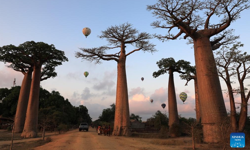 Hot air balloons take flight in Morondava, Madagascar, Nov. 25, 2023. (Photo: Xinhua)