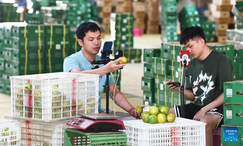 Livestreamers promote green oranges at a processing factory in Qiongzhong Li and Miao Autonomous County, south China's Hainan Province, Nov. 23, 2023. There are more than 330 green orange orchards in Qiongzhong, covering an area of about 32,000 mu (about 2133.3 hectares). The output of the green orange in the county this year is expected to reach 12,500 tonnes, with an output value exceeding 200 million yuan (about 27.97 million dollars). (Photo: Xinhua)