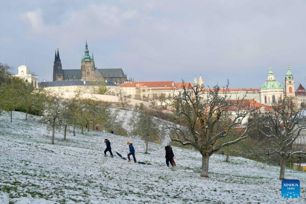 People play with snow on the Petrin hill in Prague, the Czech Republic, Nov. 26, 2023.(Photo: Xinhua)