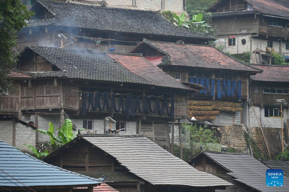 Pieces of Liang Bu, a kind of traditional hand-made cloth of Miao ethnic group, are dried outside the windows of stilt buildings in Wuying Village on the border between south China's Guangxi Zhuang Autonomous Region and southwest China's Guizhou Province, on Oct. 10, 2023. Wuying Village is a Miao ethnic group hamlet that nestles snugly in the towering mountains stretching across the border between Guangxi and Guizhou. Most villagers are still living in traditional wood stilt buildings.(Photo: Xinhua)