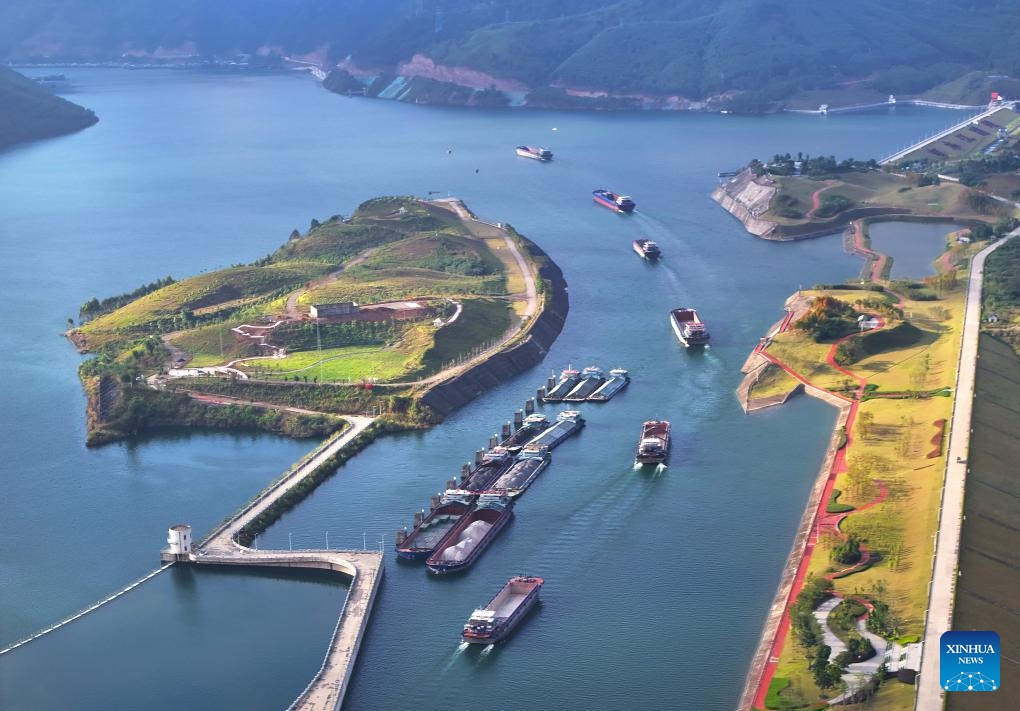 This aerial photo taken on Dec. 4, 2023 shows ships passing the ship lock of the Dateng Gorge Water Conservancy project in Guiping City, south China's Guangxi Zhuang Autonomous Region. The Dateng Gorge Water Conservancy project, started in 2014, is a crucial part of the country's water network to control floods, facilitate shipping, generate electricity, and provide irrigation. The core construction phase of this project was completed in September this year.(Photo: Xinhua)