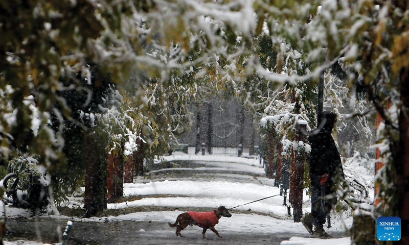 A man walks with a dog in a park during a snowfall in Bucharest, Romania, on Dec. 7, 2023. Romania greeted the first snowfall of this year's winter on Thursday.(Photo: Xinhua)