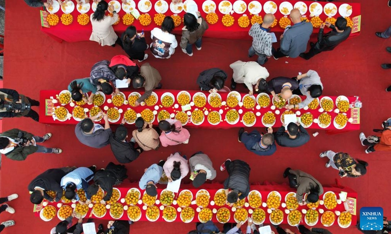 This aerial photo taken on Dec. 10, 2023 shows judges performing comprehensive evaluation during a kumquat competition in Rong'an County, south China's Guangxi Zhuang Autonomous Region. (Photo: Xinhua)