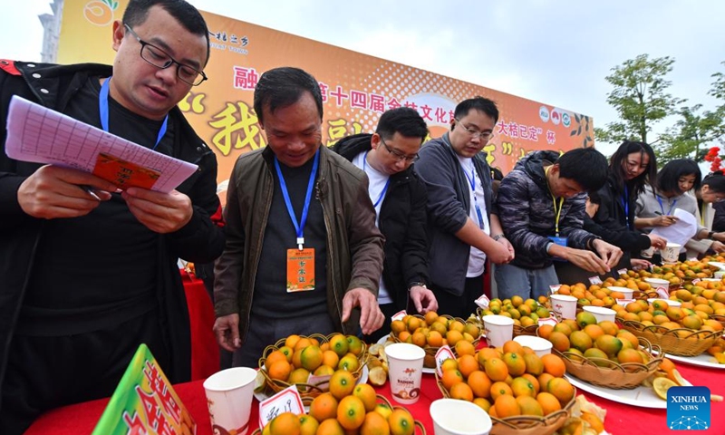 Judges perform comprehensive evaluation during a kumquat competition in Rong'an County, south China's Guangxi Zhuang Autonomous Region, Dec. 10, 2023. (Photo: Xinhua)