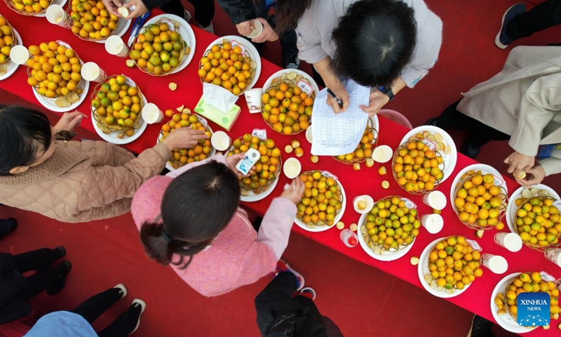 This aerial photo taken on Dec. 10, 2023 shows judges performing comprehensive evaluation during a kumquat competition in Rong'an County, south China's Guangxi Zhuang Autonomous Region. The kumquat planting has become a cash-cow business for local farmers in Rong'an. A total of 221,000 mu (about 14,733 hectares) of kumquat trees planted in the county this year are expected to yield 250,000 tonnes of kumquats. (Photo: Xinhua)