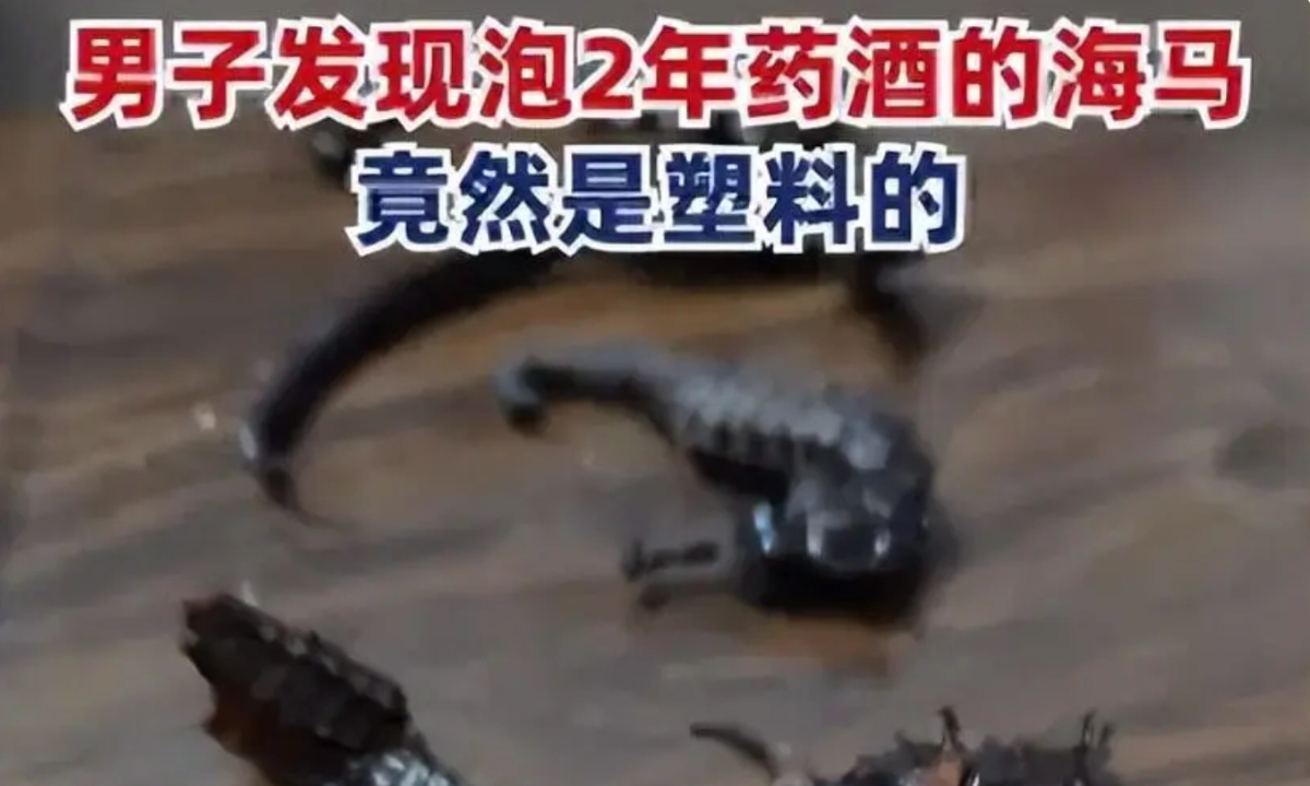 Recently, a man from Zhaoqing, South China’s Guangdong Province, found the seahorses he had bought were actually made of plastic when cleaning the medicinal materials. Photo: web