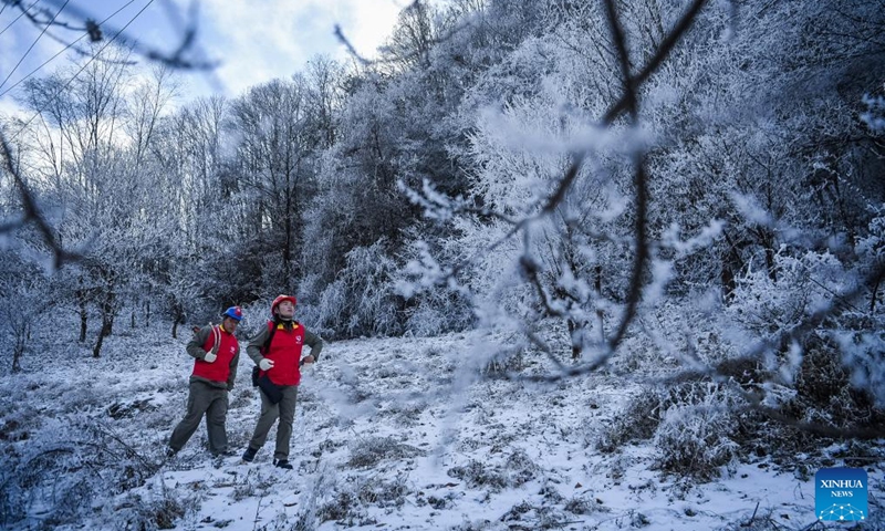 Staff members of local power supply company patrol for maintenance of power transmission lines in Shennongjia Forestry District, central China's Hubei Province, Dec. 19, 2023. Maintenance works of power transmission lines in Shennongjia forest district have been conducted to alleviate impacts inflicted by snowfall and other freezing conditions.(Photo: Xinhua)