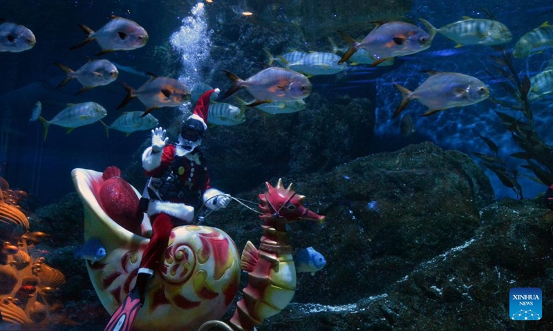 A diver dressed in Santa Claus costumes performs at the Bangkok Ocean World in Bangkok, Thailand, Dec. 19, 2023.(Photo: Xinhua)