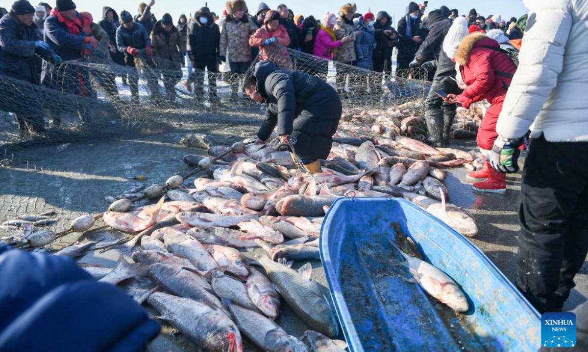 Tourists select fishes during a winter fishing-themed festival on the Chagan Lake in Songyuan City, northeast China's Jilin Province, Dec 28, 2023. Photo:Xinhua