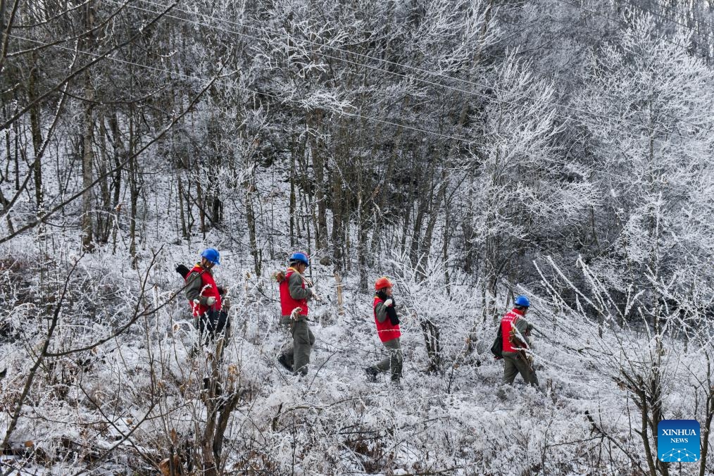 Staff members of local power supply company patrol for maintenance of power transmission lines in Shennongjia Forestry District, central China's Hubei Province, Dec. 19, 2023. Maintenance works of power transmission lines in Shennongjia forest district have been conducted to alleviate impacts inflicted by snowfall and other freezing conditions.(Photo: Xinhua)