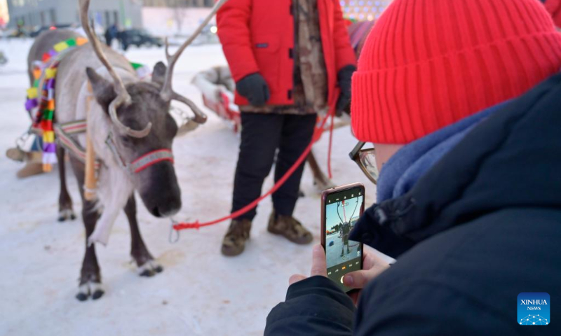 A visitor takes photos of a reindeer in Beiji Village of Mohe, northeast China's Heilongjiang Province, Dec. 22, 2023. (Xinhua/Shi Feng)