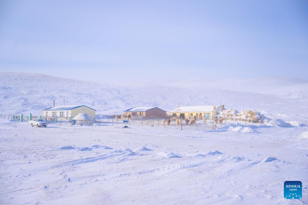 This photo taken on Dec. 20, 2023 shows residences on the grassland in West Ujimqin Banner of Xilingol League, north China's Inner Mongolia Autonomous Region.(Photo: Xinhua)