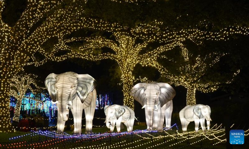 This photo taken on Dec. 30, 2023 shows a view of the Houston Zoo Lights held in Houston, Texas, the United States. The Houston Zoo Lights runs from Nov. 17, 2023 through Jan. 7, 2024. (Xinhua/Xu Jianmei)