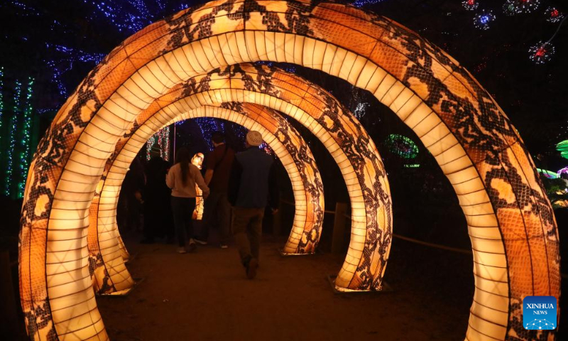 Visitors walk through a light tunnel at the Houston Zoo Lights held in Houston, Texas, the United States, Dec. 30, 2023. The Houston Zoo Lights runs from Nov. 17, 2023 through Jan. 7, 2024. (Xinhua/Xu Jianmei)