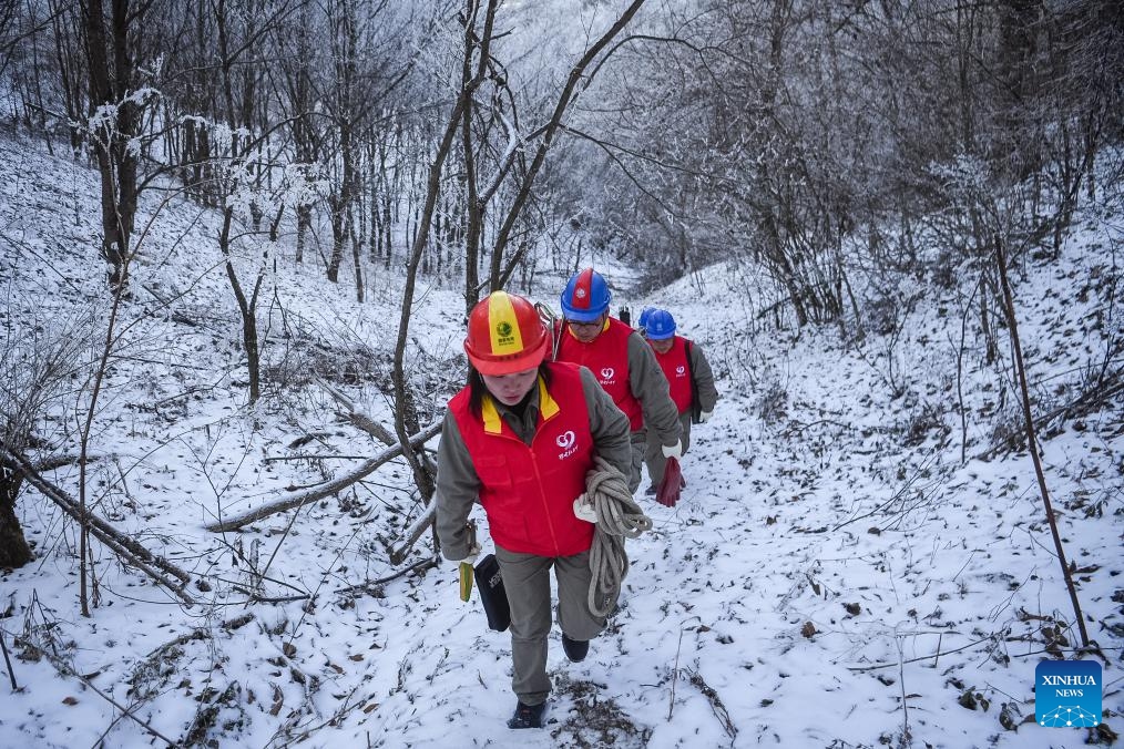 Staff members of local power supply company patrol for maintenance of power transmission lines in Shennongjia Forestry District, central China's Hubei Province, Dec. 19, 2023. Maintenance works of power transmission lines in Shennongjia forest district have been conducted to alleviate impacts inflicted by snowfall and other freezing conditions.(Photo: Xinhua)