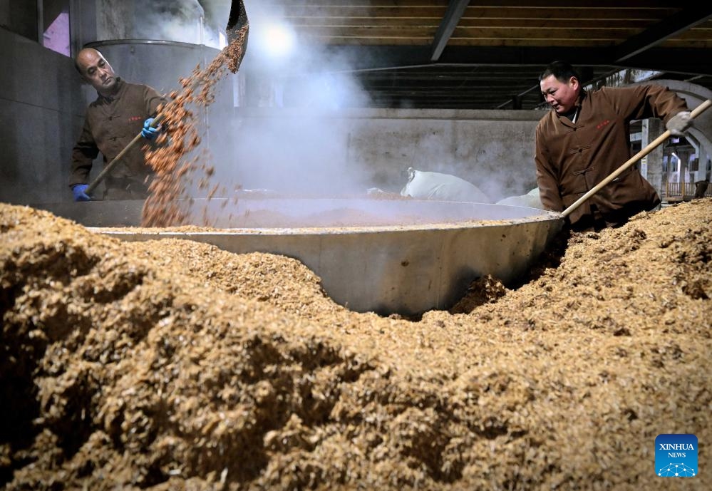 Workers put the fermented unfiltered liquor into a pot for distillation at a workshop of Baofeng Baijiu Co., LTD in Baofeng County, central China's Henan Province, Dec. 21, 2023. Baofeng County has a time-honored brewing industry of Baijiu (Chinese liquor), and is one of the birthplaces of traditional Chinese distilled liquor. Because of the suitable temperature, autumn and winter are the busiest time for local liquor production in a year.(Photo: Xinhua)