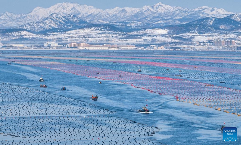 This aerial photo taken on Dec. 27, 2023 shows boats sailing at a marine ranch in Ailun Bay of Rongcheng City, east China's Shandong Province.(Photo: Xinhua)