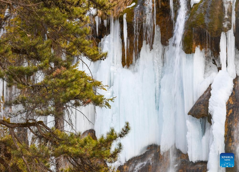 This photo taken on Jan. 4, 2024 shows the frozen Nuorilang Waterfall at the Jiuzhaigou National Park in southwest China's Sichuan Province. An international tourism festival featuring frozen waterfalls opened Thursday at the Jiuzhaigou National Park, a UNESCO World Heritage Site. The national park, also known as the Jiuzhai Valley, contains around 20 tourist sites and is known for its spectacular waterfalls, lush forest, serene plateau lakes, and karst rock formations.(Photo: Xinhua)