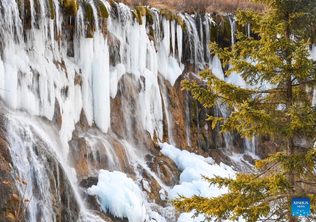 This photo taken on Jan. 4, 2024 shows the frozen Nuorilang Waterfall at the Jiuzhaigou National Park in southwest China's Sichuan Province. An international tourism festival featuring frozen waterfalls opened Thursday at the Jiuzhaigou National Park, a UNESCO World Heritage Site. The national park, also known as the Jiuzhai Valley, contains around 20 tourist sites and is known for its spectacular waterfalls, lush forest, serene plateau lakes, and karst rock formations.(Photo: Xinhua)