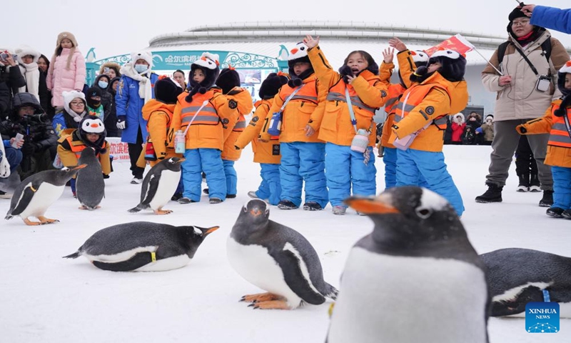 Children from south China's Guangxi Zhuang Autonomous Region meet with penguins as they visit the Harbin Polarpark in Harbin, northeast China's Heilongjiang Province, Jan. 6, 2024. These cute kids, nicknamed little sugar tangerines (a specialty produce of Guangxi) by netizens in China, have attracted millions of eyes during their trip to the northeast part of the country. (Xinhua/Wang Jianwei)