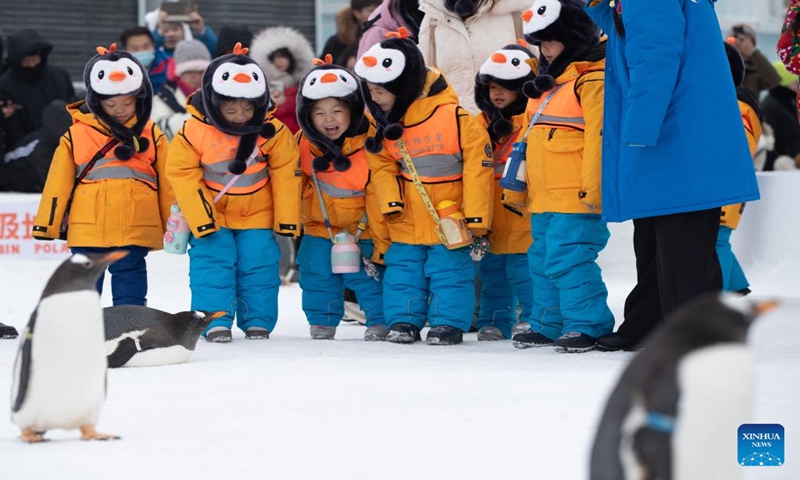 Children from south China's Guangxi Zhuang Autonomous Region meet with penguins as they visit the Harbin Polarpark in Harbin, northeast China's Heilongjiang Province, Jan. 6, 2024. These cute kids, nicknamed little sugar tangerines (a specialty produce of Guangxi) by netizens in China, have attracted millions of eyes during their trip to the northeast part of the country. (Xinhua/Wang Jianwei)