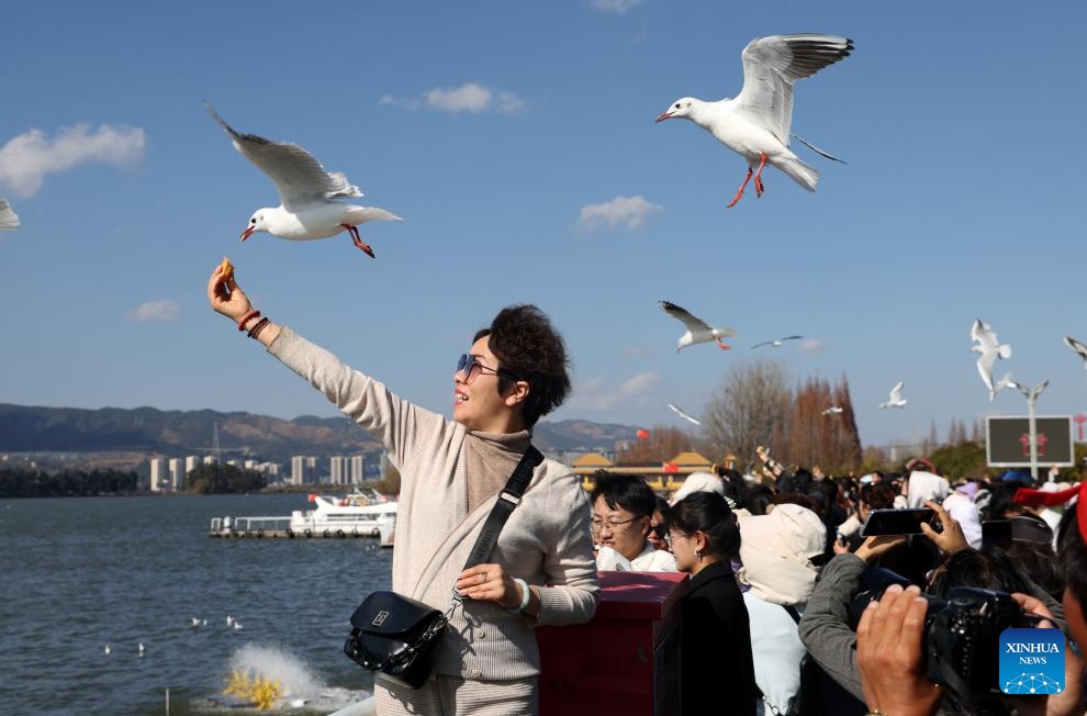 Tourists take photos of seagulls in Kunming, southwest China's Yunnan Province, Jan. 7, 2024. Yunnan has attracted legions of tourists this winter due to its mild climate.(Photo: Xinhua)