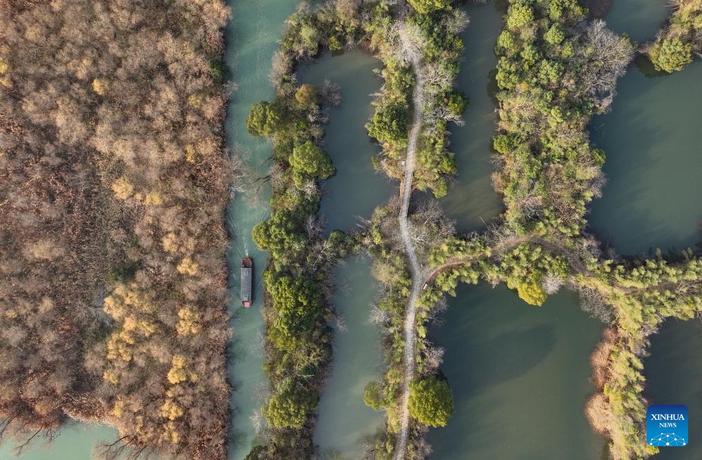 This aerial photo taken on Jan. 9, 2024 shows a boat sailing at the Xixi Wetland in Hangzhou, east China's Zhejiang Province.(Photo: Xinhua)