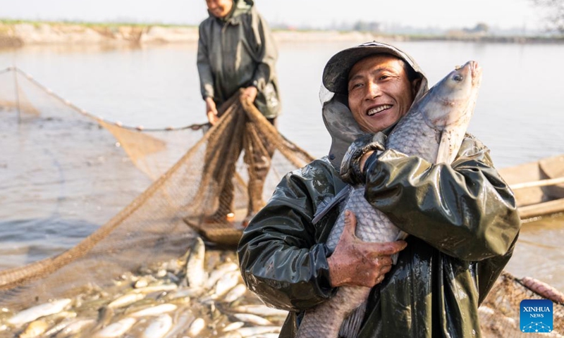 A fisherman shows a big fish just caught in Yanhedi Village, Nanxian County, central China's Hunan Province, Jan. 13, 2024. Nanxian County saw busy winter fish catching by local fishermen at present to meet the demand of the market. The annual output of aquatic products in the county reached 162,000 tons in 2023. (Xinhua/Chen Sihan)