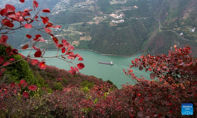 This photo taken on Nov. 30, 2023 shows a boat sailing on the Yangtze River in Wushan County, southwest China's Chongqing Municipality. (Xinhua/Xiao Yijiu)