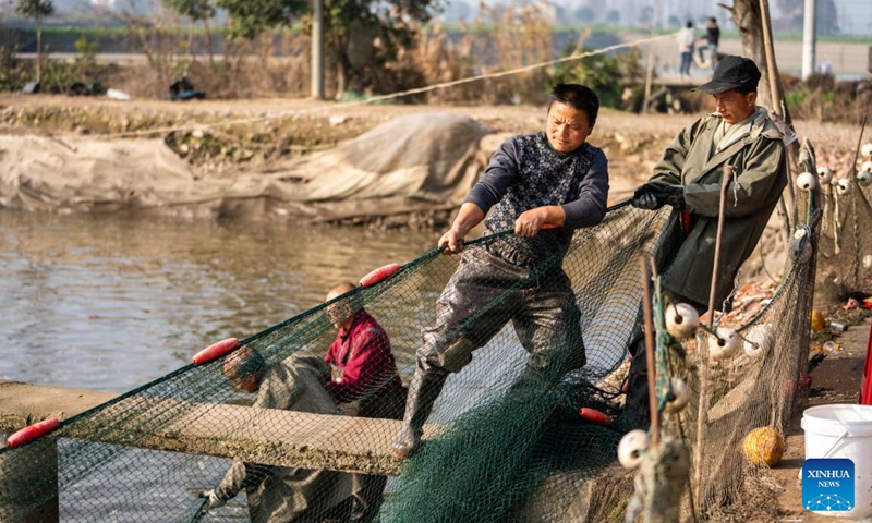 Fishermen catch fishes in Yanhedi Village, Nanxian County, central China's Hunan Province, Jan. 13, 2024. Nanxian County saw busy winter fish catching by local fishermen at present to meet the demand of the market. The annual output of aquatic products in the county reached 162,000 tons in 2023. (Xinhua/Chen Sihan)