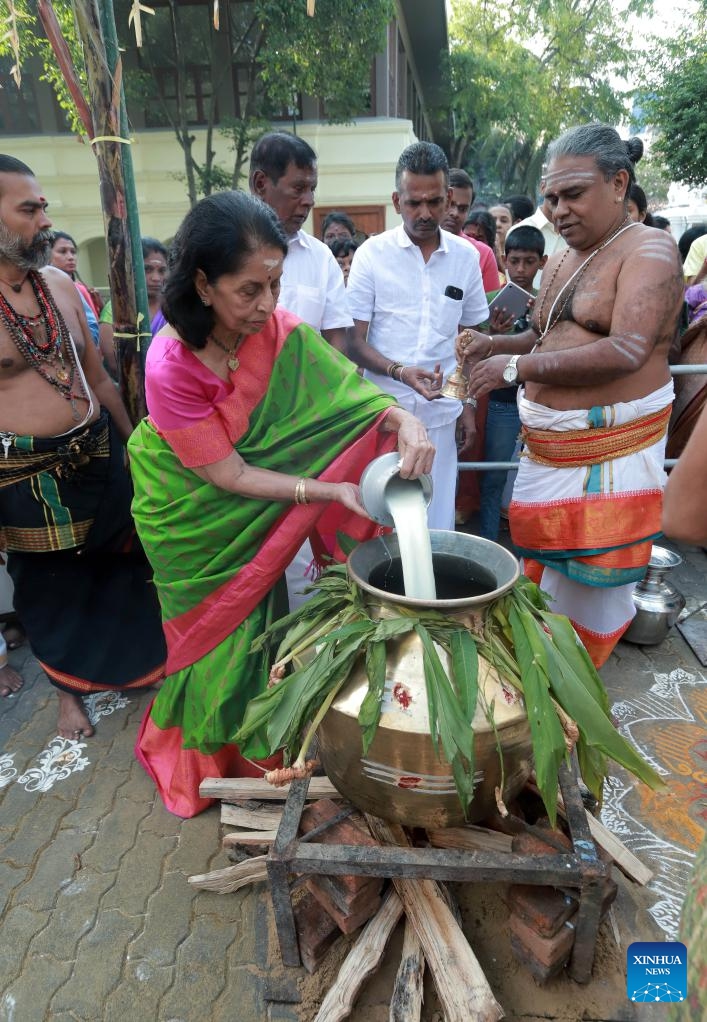 People prepare to cook during the festival of Thai Pongal in Colombo, Sri Lanka, Jan. 15, 2024. Thai Pongal is a Tamil thanksgiving festival in celebration of a successful harvest(Photo: Xinhua)