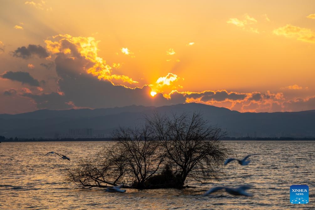 This photo taken on Jan. 15, 2024 shows a view of the Dianchi Lake in Kunming, southwest China's Yunnan Province. The overall water quality of Dianchi Lake has been maintained for six consecutive years since it reached Class IV in the country's five-tier evaluation system for the first time in 2018.(Photo: Xinhua)