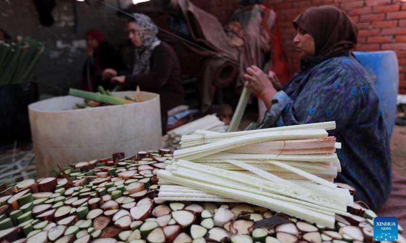 Women slice papyrus stalks at villager Sayed's papyrus papermaking workshop at Qaramos village in Sharqiya province, Egypt, Jan. 16, 2024. The creation of papyrus paper, a significant invention by ancient Egyptians around 3,000 BC, was reinvented by experts last century. Today, Qaramos village, located 100 km north of Cairo in the Nile Delta province of Sharqiya, stands as Egypt's sole producer of handmade papyrus paper with ancient techniques.(Photo: Xinhua)