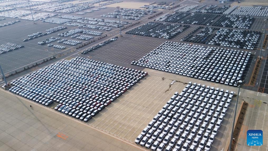 An aerial drone photo taken on Jan. 16, 2024 shows vehicles at a terminal of Dalian Port, northeast China's Liaoning Province. Dalian Port achieved a record-breaking annual export of 102,773 vehicles in 2023, marking a year-on-year growth of 143 percent, according to the Dalian Customs.(Photo: Xinhua)