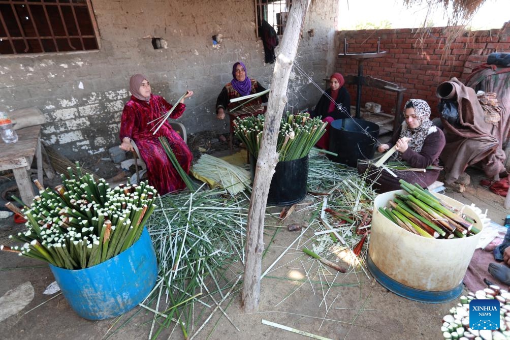 Women slice papyrus stalks at villager Sayed's papyrus papermaking workshop at Qaramos village in Sharqiya province, Egypt, Jan. 16, 2024. The creation of papyrus paper, a significant invention by ancient Egyptians around 3,000 BC, was reinvented by experts last century. Today, Qaramos village, located 100 km north of Cairo in the Nile Delta province of Sharqiya, stands as Egypt's sole producer of handmade papyrus paper with ancient techniques.(Photo: Xinhua)