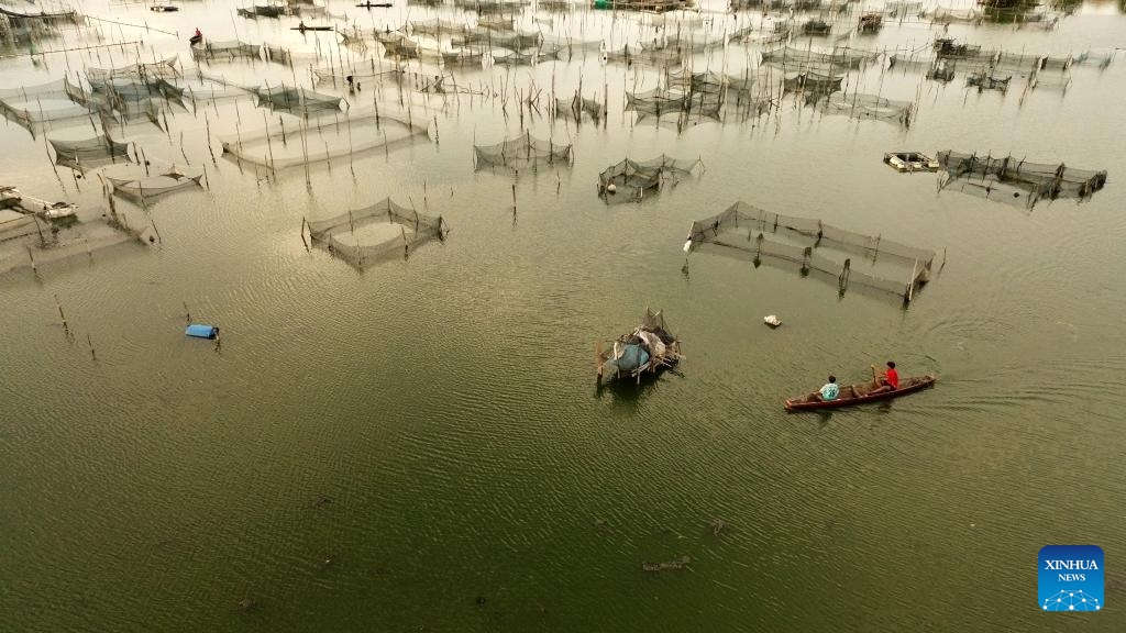 An aerial drone photo taken on Jan. 18, 2024 shows a fisherman rowing a wooden boat near floating fish farms in Lhokseumawe, Aceh Province, Indonesia.(Photo: Xinhua)