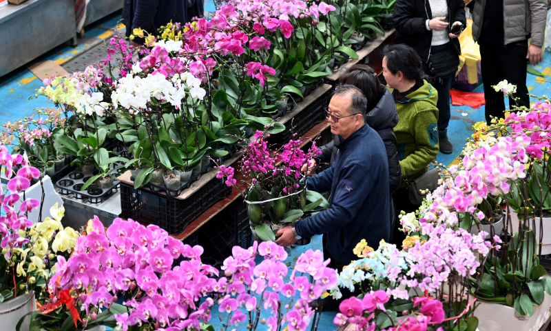 People shop for phalaenopsis orchids in Kunming, Southwest China's Yunnan Province, on February 1, 2024. Sales of flowers for the approaching Spring Festival in Kunming's Dounan Flower Market are booming. Dounan is Asia's largest flower market, with fresh blooms exported to more than 50 countries and regions. The market provides nearly 30 million flowers nationwide every day. Photo: cnsphoto